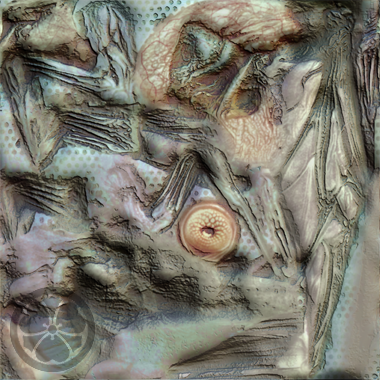 C_Shyrack01_apres.png