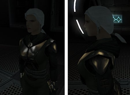 TSL_Handmaiden_Pony_Tail_02_TH.jpg