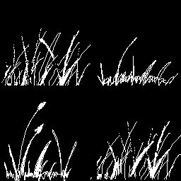 Dantooine_Grass_Plane_Alpha.jpg