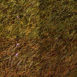 Dantooine_Grass_Plane_Diffuse.jpg