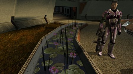 K1_Dantooine_Jedi_Enclave_Landscaping_05