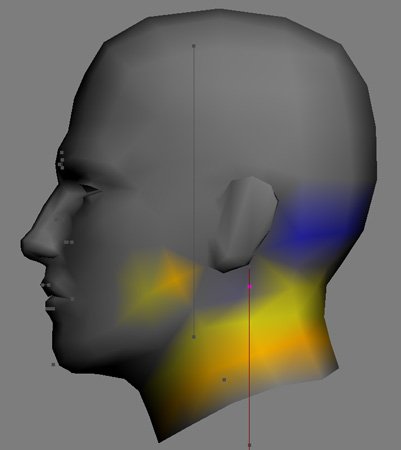 K1_PMHC01_Stray_Neck_Weights_TH.jpg