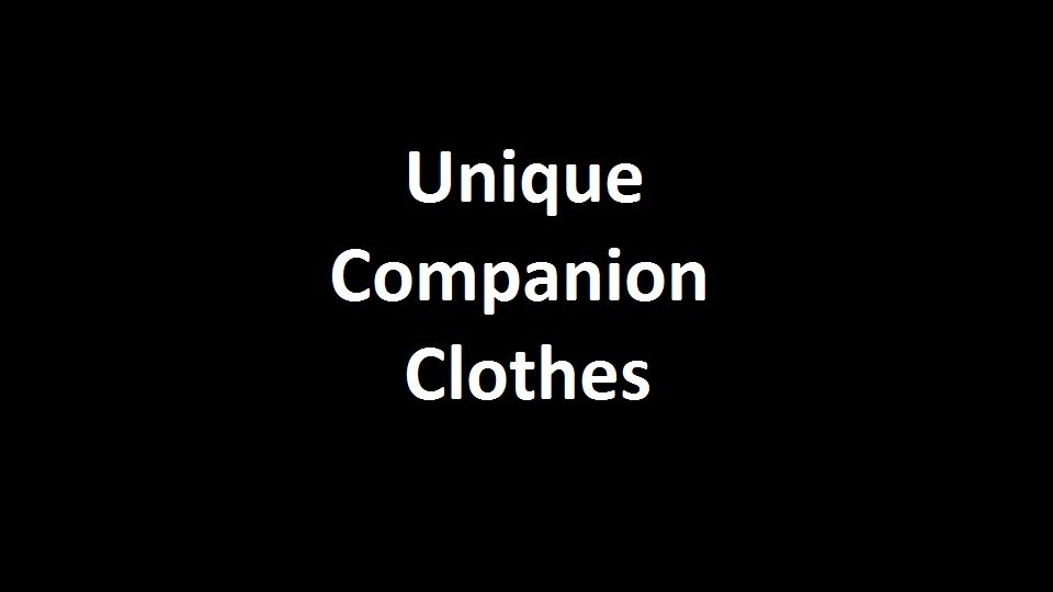 Unique Companion Clothes