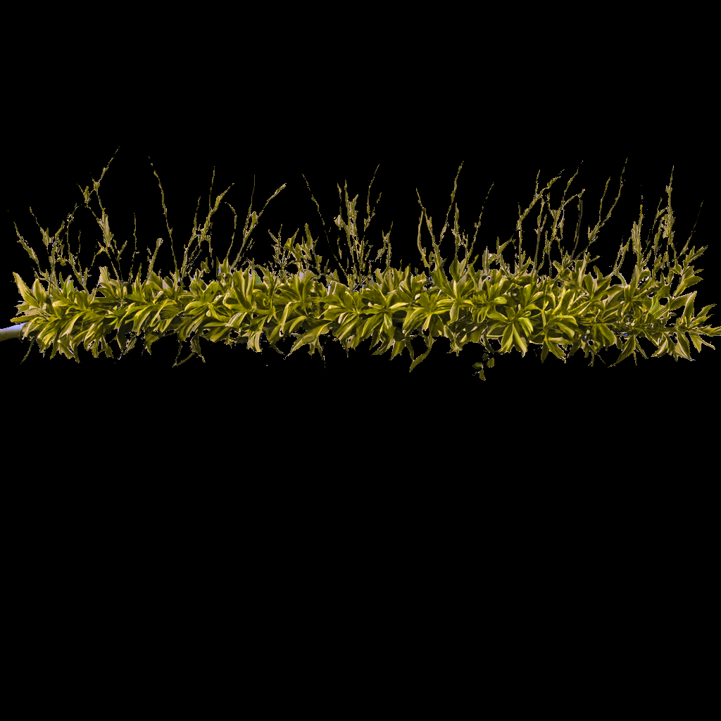 LDA_grim03.png.b39f9383db3a16200f8dd010b8b2a77d.png