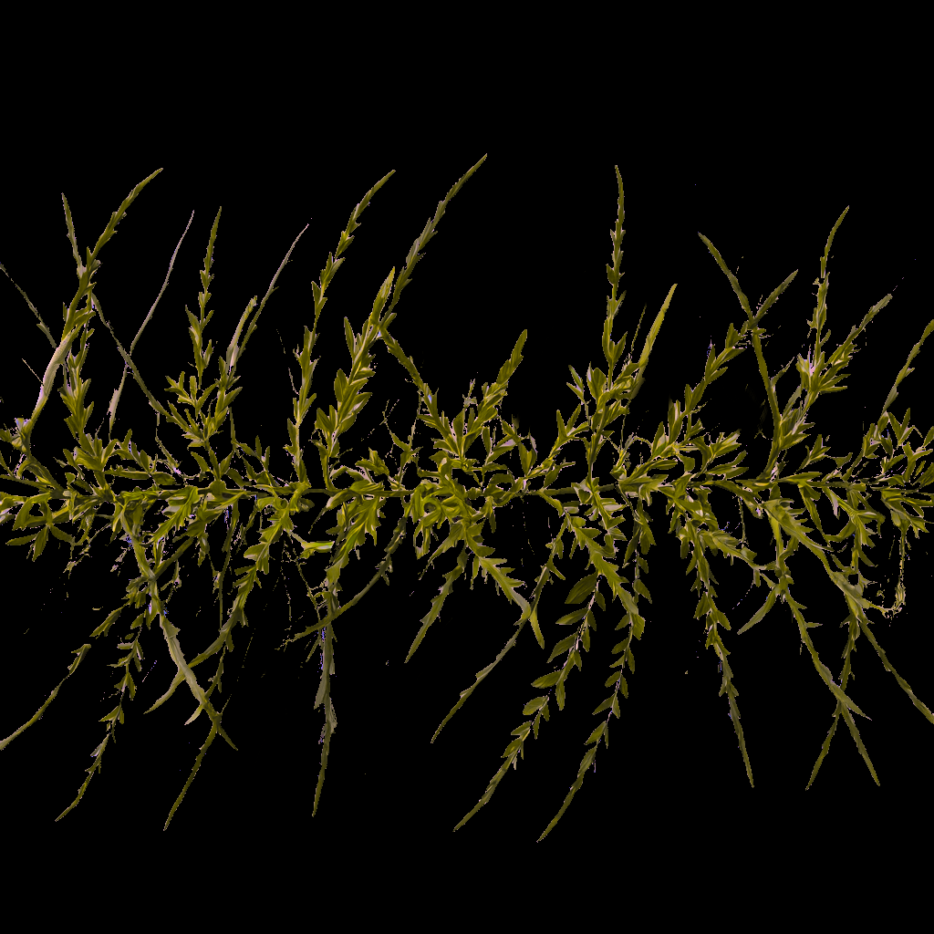 LDA_grim05.png.c541093cc9be90bd38846834c1958340.png