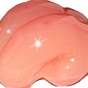SilkCerebrum